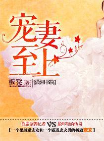宠妻至上封面