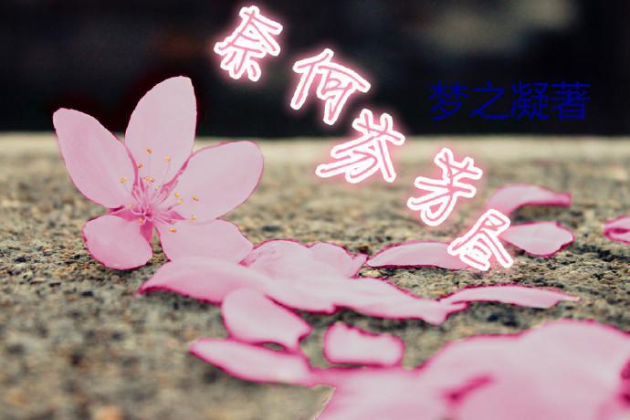 奈何芬芳尽封面