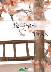 缘与梧桐封面