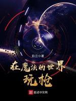 在魔法的世界玩枪封面