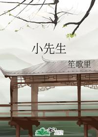 小先生封面