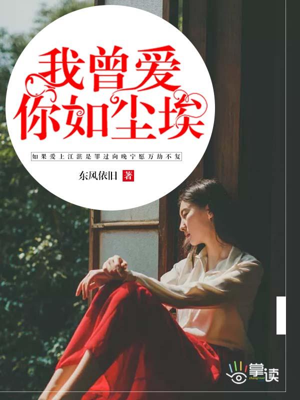 我曾爱你如尘埃封面