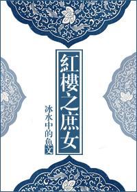 红楼之庶女封面