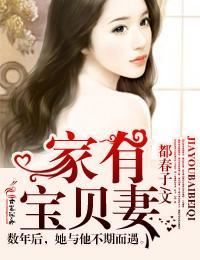 家有宝贝妻封面