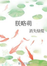 朕略萌封面