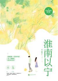 淮南以宁封面