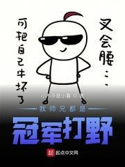 我师兄都是冠军打野封面