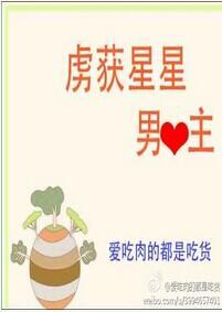 虏获星星男主心封面