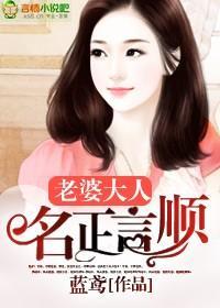 老婆大人,名正言顺封面