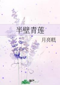 半壁青莲封面