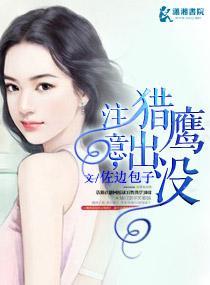 註意，猎鹰出没封面