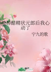 渣掉醋精状元郎后我心动了封面