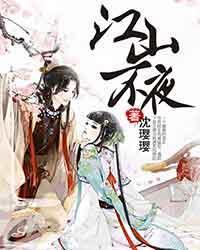 江山不夜封面