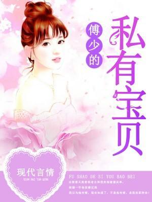 傅少的私有宝贝封面