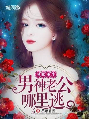 灵眼重生：男神老公哪里逃封面