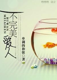 不完美爱人封面