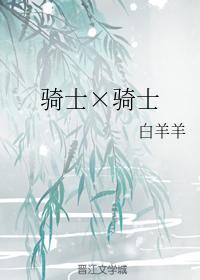 骑士×骑士封面