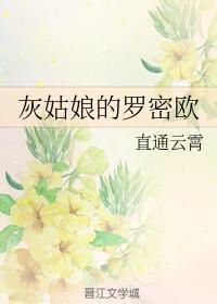 灰姑娘的罗密欧封面