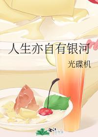 人生亦自有银河封面