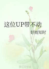 这位UP带不动封面