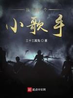 我只是个小歌手封面