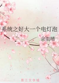 系统之我不是电灯泡吗？封面
