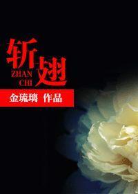 斩翅封面