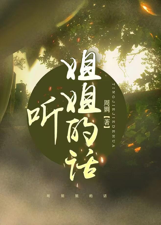 听姐姐的话封面