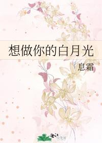 想做你的白月光封面