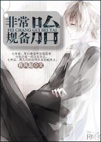 非常规备胎封面