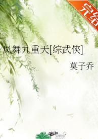 凤舞九重天[综武侠]封面