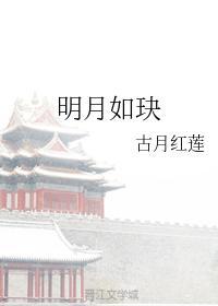 明月如玦封面