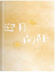 迎月向阳封面