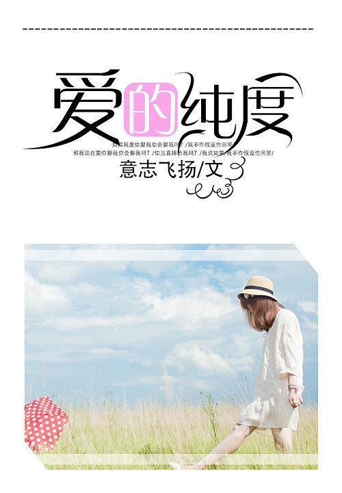 爱的纯度封面