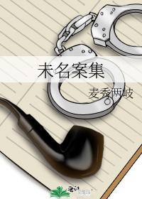 未名案集封面