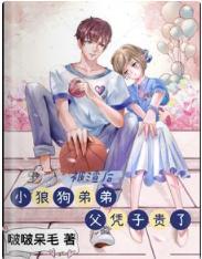 被渣后:小狼狗弟弟父凭子贵了封面