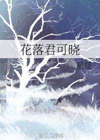 花落君可晓封面