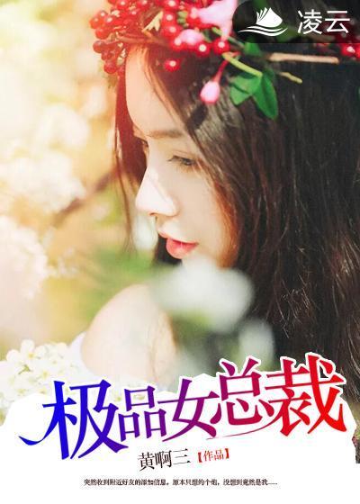 极品女总裁封面
