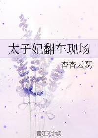 太子妃翻车现场封面