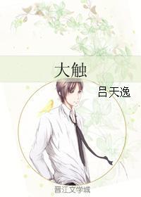 大触封面