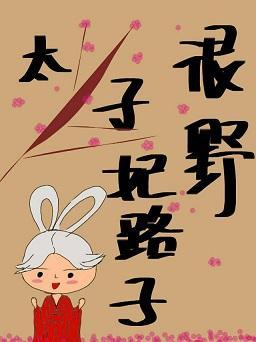 太子妃路子很野封面