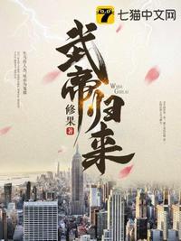 武帝归来封面
