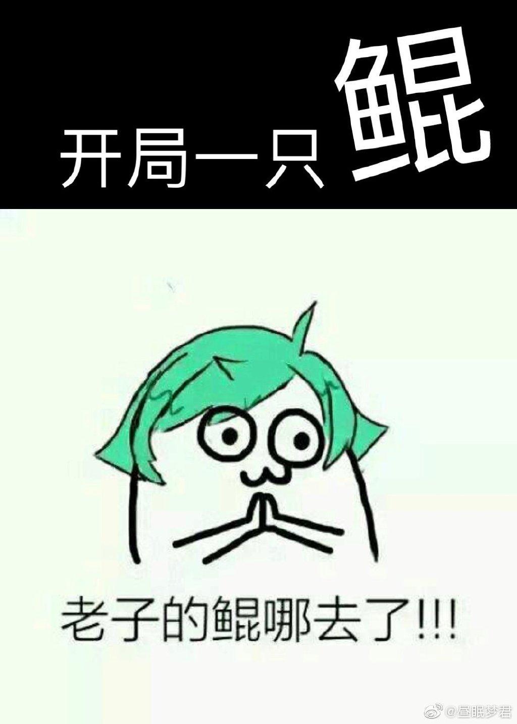 开局一只鲲封面