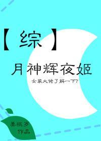 月神辉夜姬封面