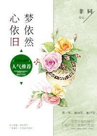 心依旧梦依然封面
