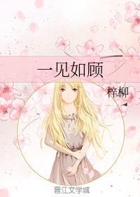 一见如顾封面