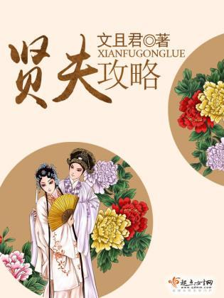 贤夫攻略封面