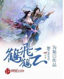 鹤鹤飞云封面