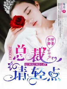 天价娇妻：总裁请轻点封面