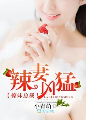 撩妹总裁：辣妻凶猛封面